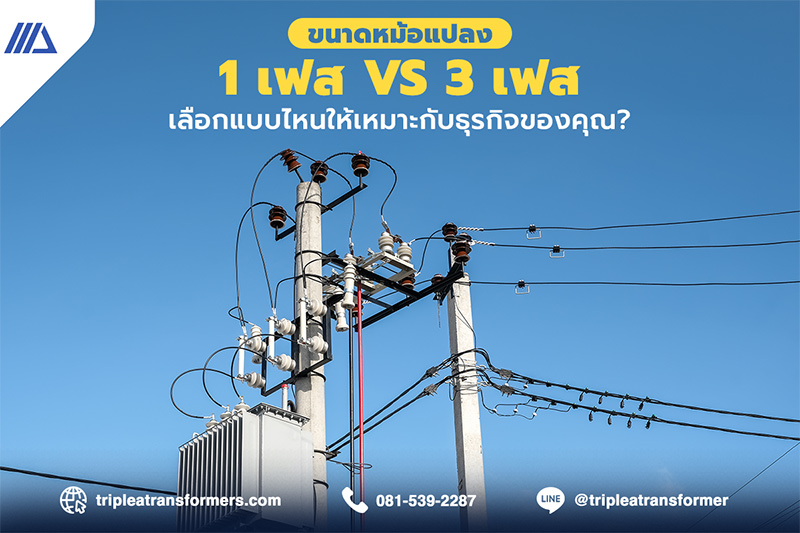 ขนาดหม้อแปลงไฟฟ้า 1 เฟส vs 3 เฟส: เลือกแบบไหนให้เหมาะกับธุรกิจของคุณ?