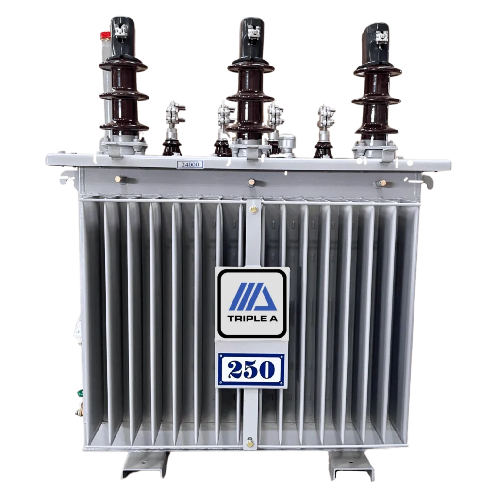 หม้อแปลงไฟฟ้า 250 KVA 24000-416/240 - TRIPLE A